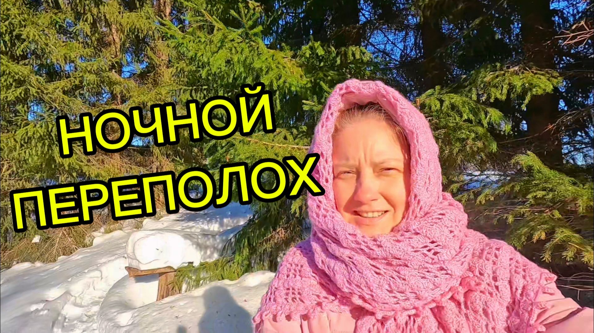 НОЧНОЙ ПЕРЕПОЛОХ | Деревенские хлопоты | Дом в деревне