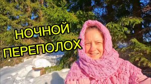 НОЧНОЙ ПЕРЕПОЛОХ | Деревенские хлопоты | Дом в деревне