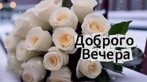 Доброго вечера и приятных снов! Спокойной ночи ✨🌙