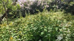 Один из дней города Евпатории | 14 мая 2021 год | Крым | ХАН БАТОН | XAH 6ATOH | VID_20210514_133837