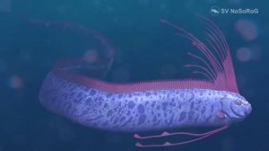 Каковы особенности строения и поведения Сельдяного короля (King of herrings) — Regalecus glesne ?