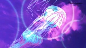 Релакс подводный мир с неба! #релакс