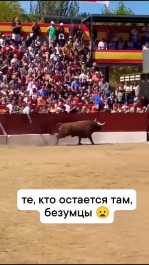 Коррида часто становится предметом споров и протестов из-за жестокого обращения с животными.