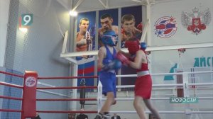 Старооскольские боксеры блестяще выступили на областном чемпионате