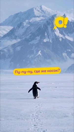 Сколько можно копошиться?