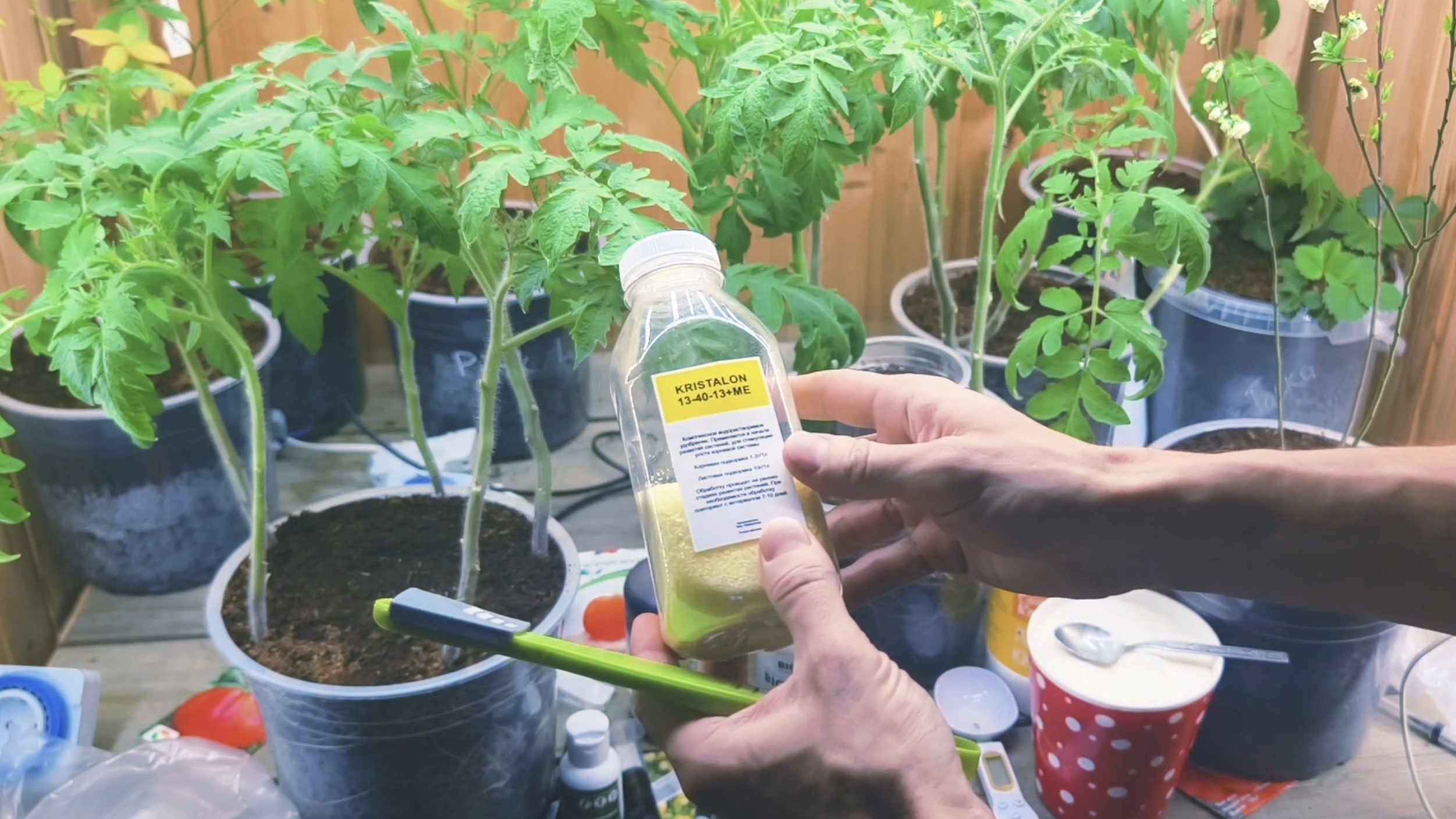 КАК ПРАВИЛЬНО ЗАМОЧИТЬ СЕМЕНА . СОЗДАНИЕ ПИТАТЕЛЬНОГО РАСТВОРА НА ОСНОВЕ ТРИХОДЕРМЫ КАК ПРАВИЛЬНО ЗАМОЧИТЬ СЕМЕНА . СОЗДАНИЕ ПИТАТЕЛЬНОГО РАСТВОРА НА ОСНОВЕ ТРИХОДЕРМЫ