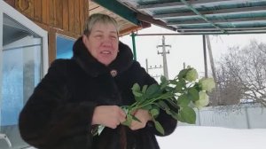 Валентина с днем рождения !