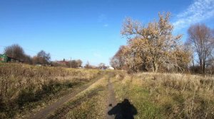 Untitled Аркадак и по периметру