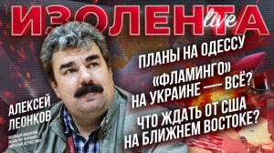 Планы на Одессу | «Фламинго» на Украине — всё? | Что ждать от США на Ближнем Востоке? // А. Леонков