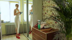 Transparent cleaning mirror with Tina in Dress (2)
