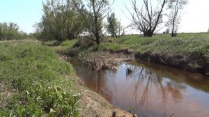 Раскрывая горизонты. Вялса - река несбывшихся надежд (2014 г.)