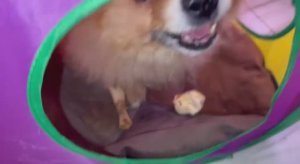 Купили подарки от Ирины Владимировны, все довольны.