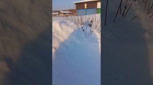 последствие вчерашнего снегопада