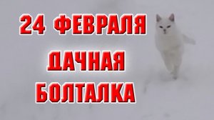 24 февраля. Дачная болталка.