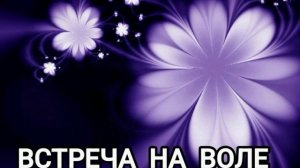 "ВСТРЕЧА НА ВОЛЕ", стихи Александра Домбровского