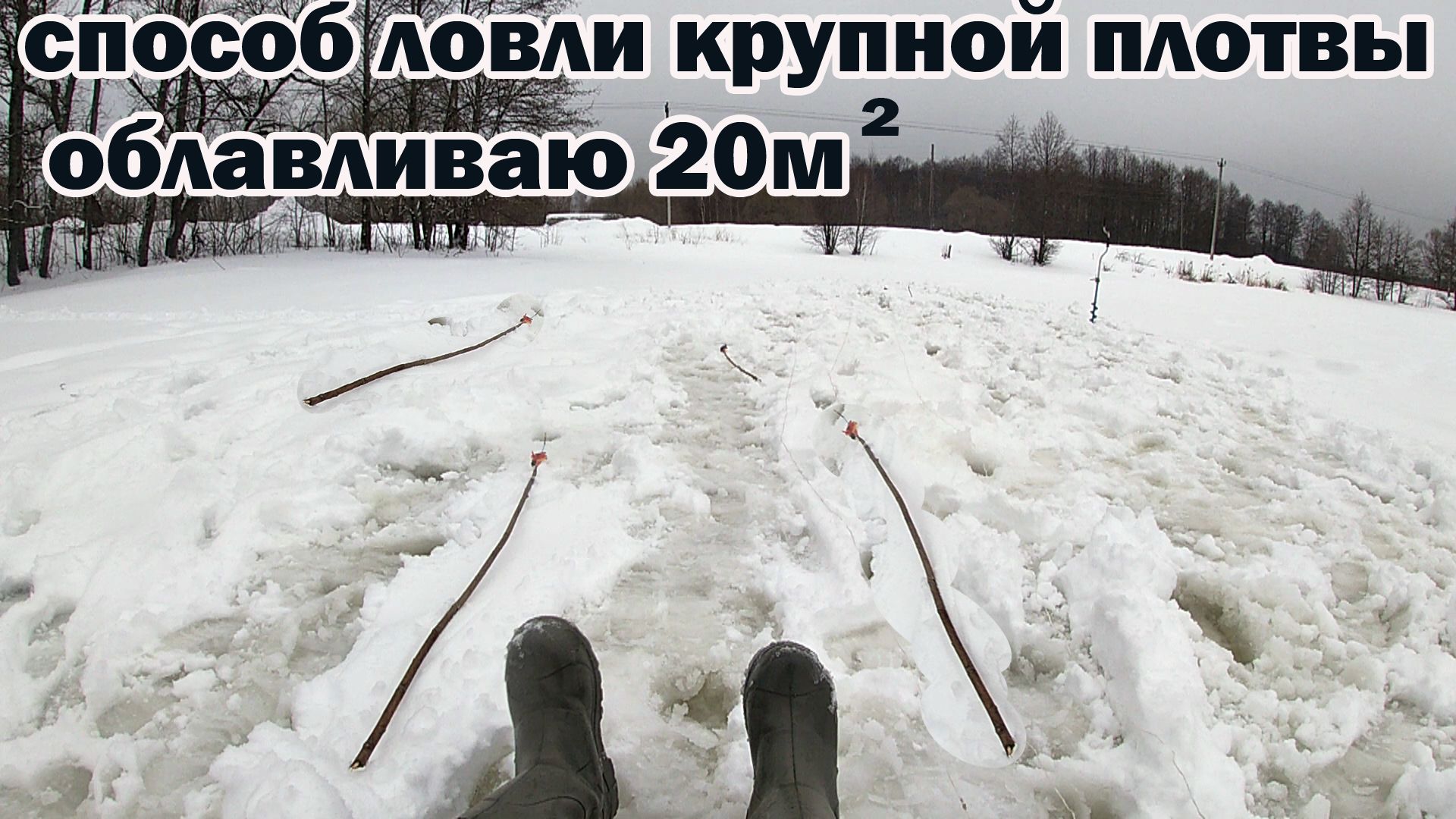 Рыбалка 24 февраля на дальние зимние удочки на крупную плотву (ДЗУ ) смотреть онлайн