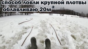 Рыбалка 24 февраля на дальние снасти на крупную плотву (ДЗУ )