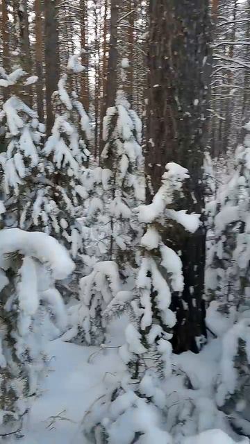 До чего же красиво #зима #снег смотреть онлайн