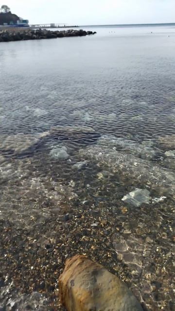 VID_20260222_113518.mp4 смотреть онлайн