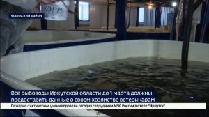 До 1 марта в Иркутской области должны промаркировать всю рыбу
