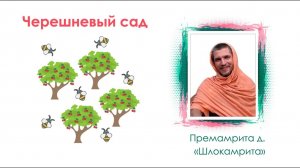 О проекте "Шлокамрита" Е.М. Премамрита прабху