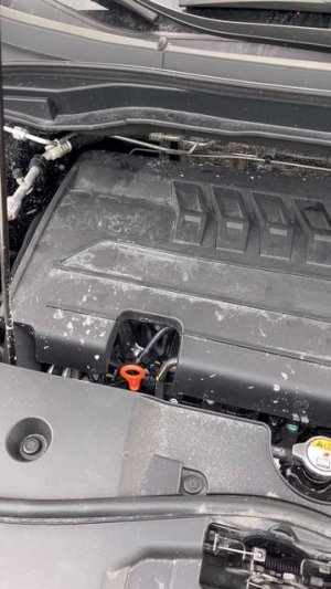 Отправил отработку в лабораторию, узнаем что было залито в Хавал М6