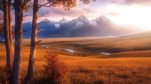 Свет России ( песня)