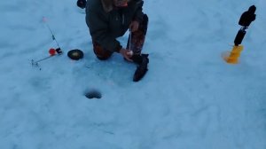 26.02.26 г. РК Волна.