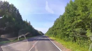 От Алтая до Белого моря в 2025 году. Часть 5. Великий Устюг - Шарья. 27 июля. 125114 Горбачево