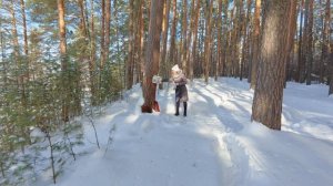 Пермь Закамск природа