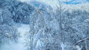 Северное танго... Николай Баданин