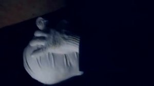 Сергей онис