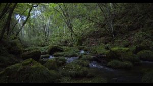 Ручей (Звуки ручья)