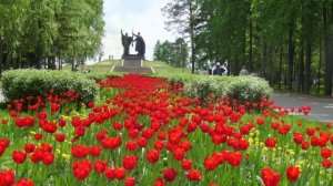 МАОУ "СОШ № 15 им. Г.Е. Николаевой" г. Томск