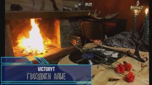 VictoryT - 🌹 Гвоздики алые  🌹 \Дворовая\