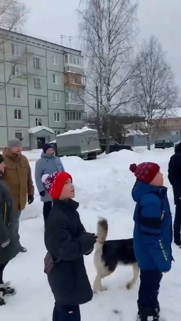 8 МАРТА, наши поздравления