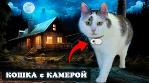 РЕАЛЬНЫЙ ДЕНЬ КОШКИ! 24 ЧАСА МУРКА ГУЛЯЕТ С КАМЕРОЙ ЧЕЛЛЕНДЖ