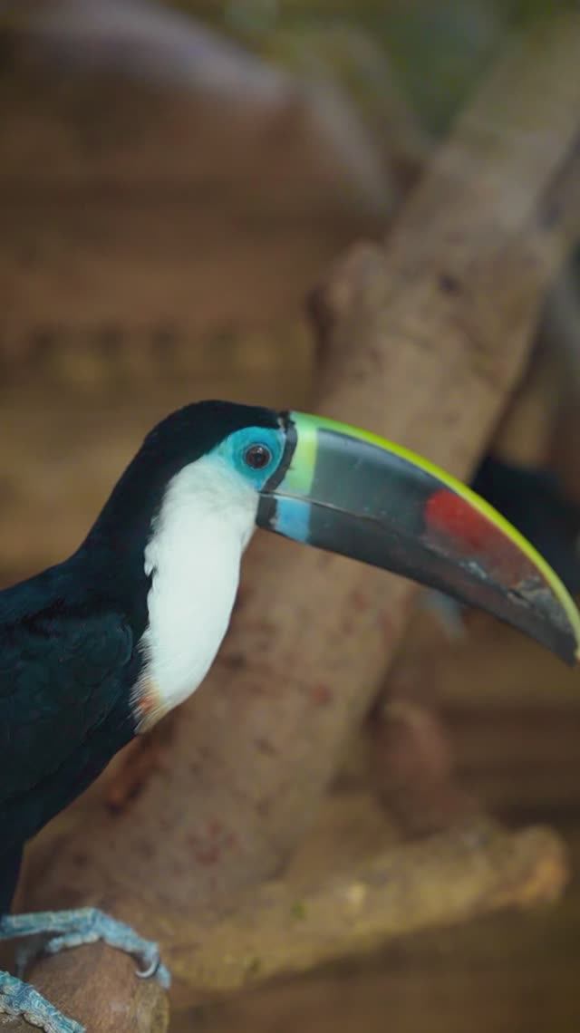 Весна уже совсем близко и воздух наполняется теплом