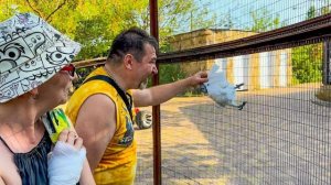 К нам в гости из Москвы приехали РОДИТЕЛИ Кирочки!