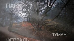 ФЕВРАЛЬ, ПАРК В ТУМАНЕ