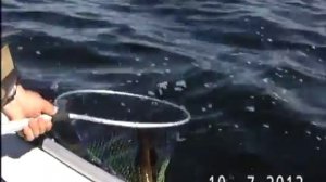 Ловля трески 5. Бооольшое рыбацкое счастье....