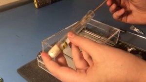 КАК ПЕРЕСЕЛЯТЬ  МУРАВЬЕВ ИЗ ПРОБИРКИ В ФОРМИКАРИЙ. Муравьи Lasius niger