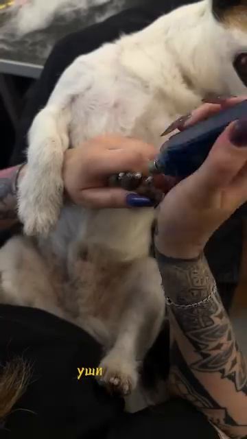 Для записи звоните или пишите +7 911 081 4252