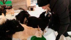 Соискателям назвали преимущества сезонной работы