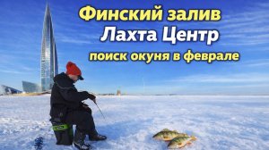 Финский залив. Лахта центр. Поиск окуня. Февраль 2026 .
