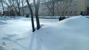 ОСТАЛОСЬ ДВА ДНЯ ДО ВЕСНЫ, А ПОГОДА УЖЕ РАДУЕТ