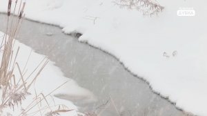 Противопаводковая комиссия в Дубне начала работу уже в феврале 2026 года