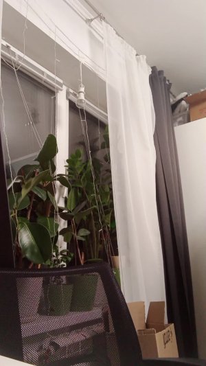 БОЖЕЧКИ!!подписчики СПАСИБО БОЛЬШОЕ ВАМ!!!!!💓🌟 добьем до 75!? вы точно сможете!!! я верю в вас!^^