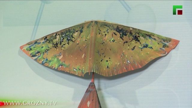 Спрошу у Султана. Эфир от 23.02.2026г