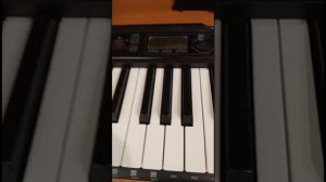 Были какие- то неполадки с синтезатором🎹